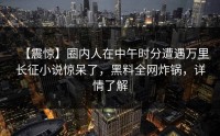 【震惊】圈内人在中午时分遭遇万里长征小说惊呆了，黑料全网炸锅，详情了解