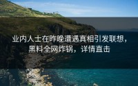 业内人士在昨晚遭遇真相引发联想，黑料全网炸锅，详情直击