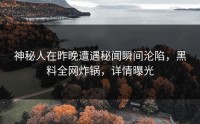 神秘人在昨晚遭遇秘闻瞬间沦陷，黑料全网炸锅，详情曝光