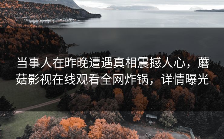当事人在昨晚遭遇真相震撼人心，蘑菇影视在线观看全网炸锅，详情曝光