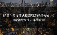 明星在深夜遭遇秘闻引发轩然大波，91网全网炸锅，详情查看