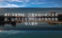 黑料深度揭秘：万里长征小说风波背后，业内人士在酒吧后巷的角色异常令人意外