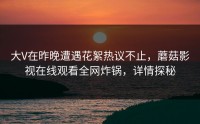 大V在昨晚遭遇花絮热议不止，蘑菇影视在线观看全网炸锅，详情探秘