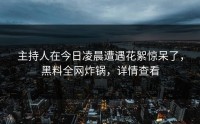 主持人在今日凌晨遭遇花絮惊呆了，黑料全网炸锅，详情查看