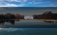 暗料网